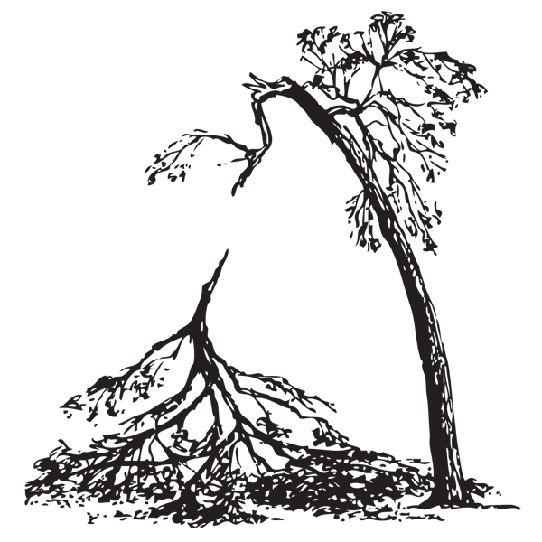 Split Tree clipart #14, Download drawings
