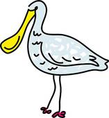 Spoonbill clipart #1, Download drawings