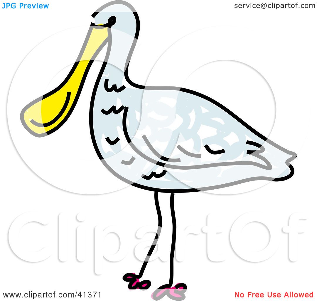 Spoonbill clipart #10, Download drawings