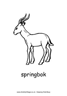 Springbok coloring #16, Download drawings
