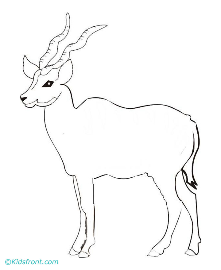 Springbok coloring #9, Download drawings