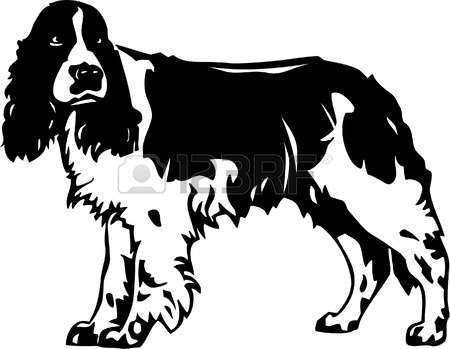 Springer Spaniel clipart #16, Download drawings