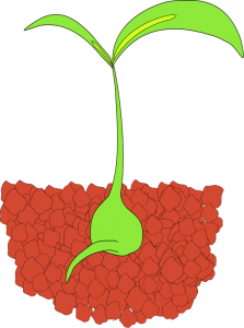 Sprout clipart #5, Download drawings