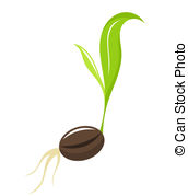 Sprout clipart #2, Download drawings