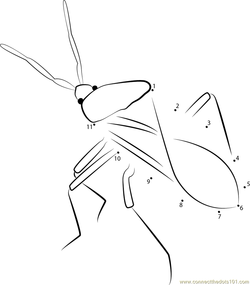 Squash Bug coloring #5, Download drawings