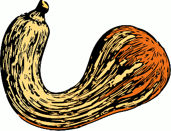 Squash clipart #1, Download drawings