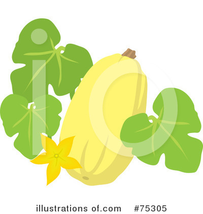 Squash clipart #2, Download drawings