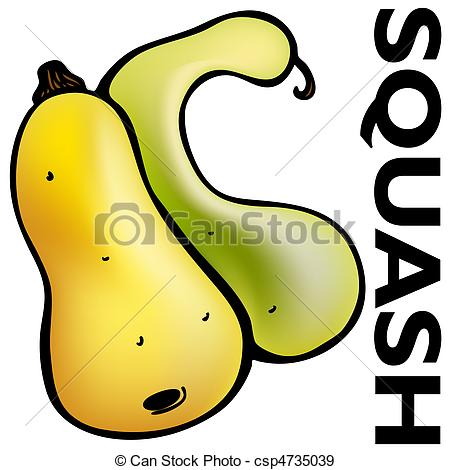 Squash clipart #10, Download drawings