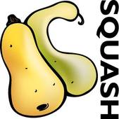 Squash clipart #5, Download drawings