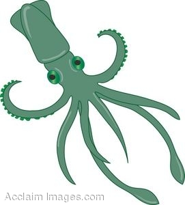 Squid clipart #14, Download drawings