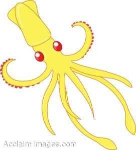 Squid clipart #8, Download drawings