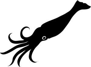 Squid clipart #17, Download drawings