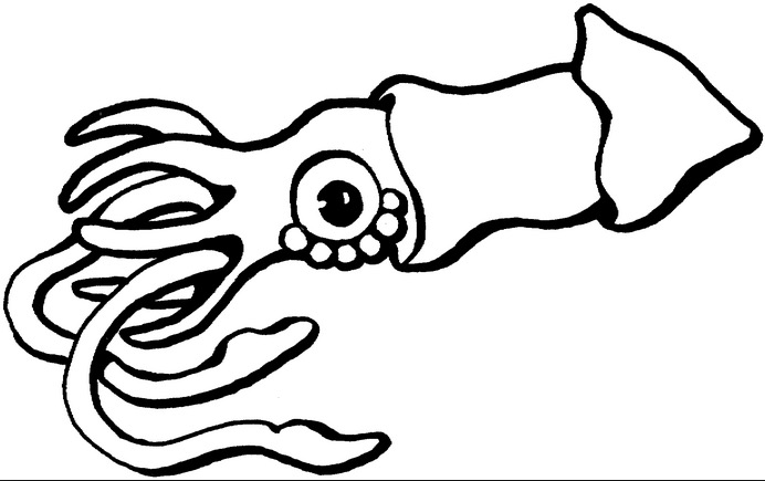 Squid coloring #18, Download drawings