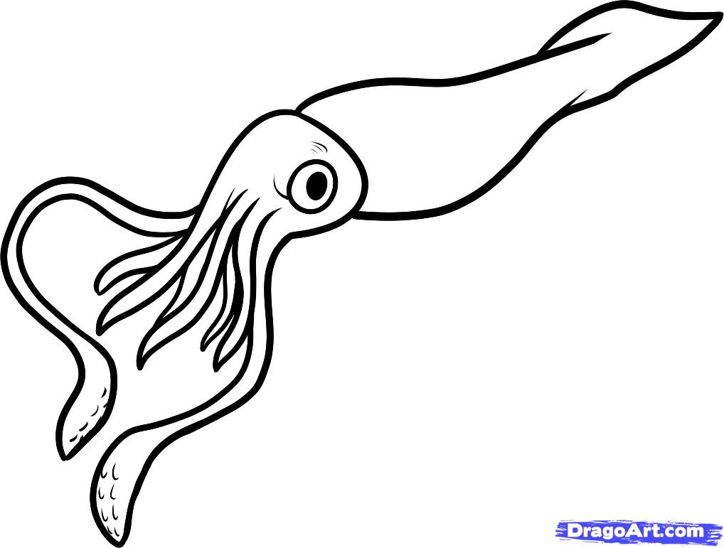 Squid coloring #10, Download drawings