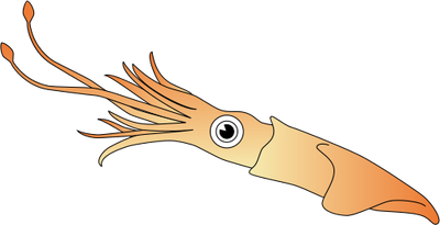 Squid svg #20, Download drawings