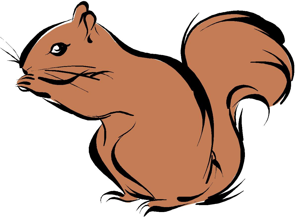 Squirrel clipart #14, Download drawings