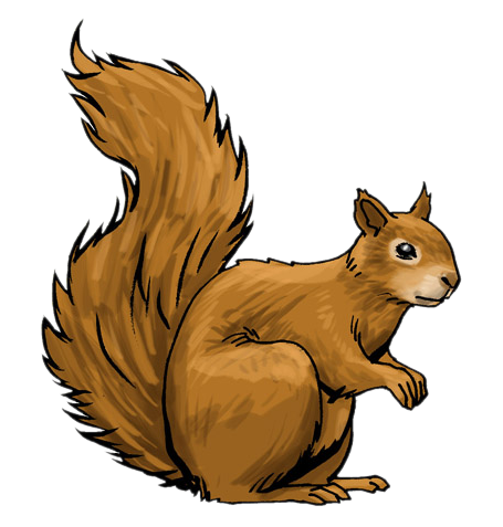 Squirrel clipart #15, Download drawings
