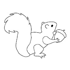 Squirrel coloring #15, Download drawings