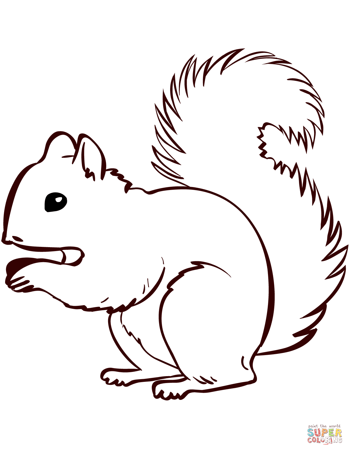 Squirrel coloring #5, Download drawings