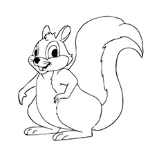 Squirrel coloring #8, Download drawings