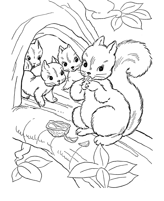 Squirrel coloring #17, Download drawings