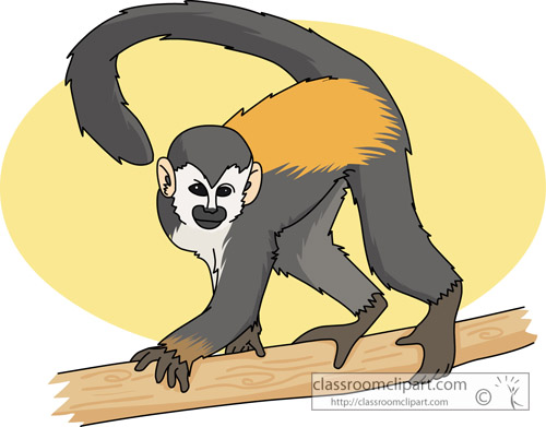 Squirrel Monkey clipart #19, Download drawings