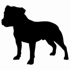 Staffordshire Bull Terrier svg #20, Download drawings
