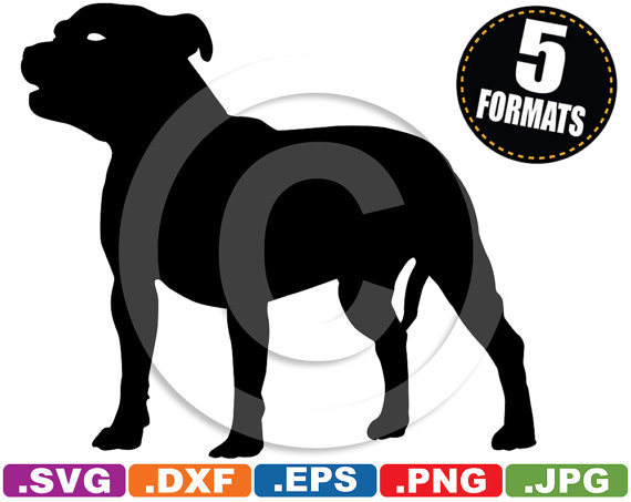 Staffordshire Bull Terrier svg #19, Download drawings