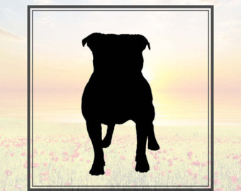 Staffordshire Bull Terrier svg #17, Download drawings