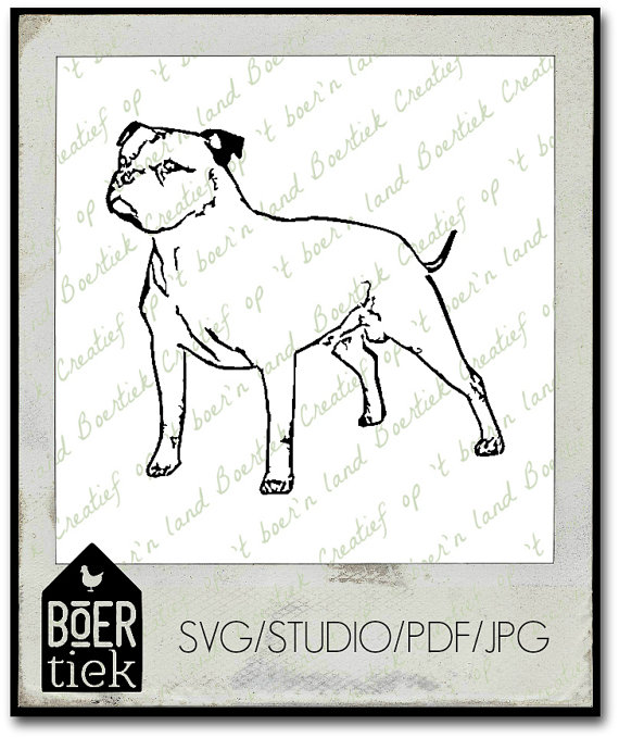 Staffordshire Bull Terrier svg #12, Download drawings
