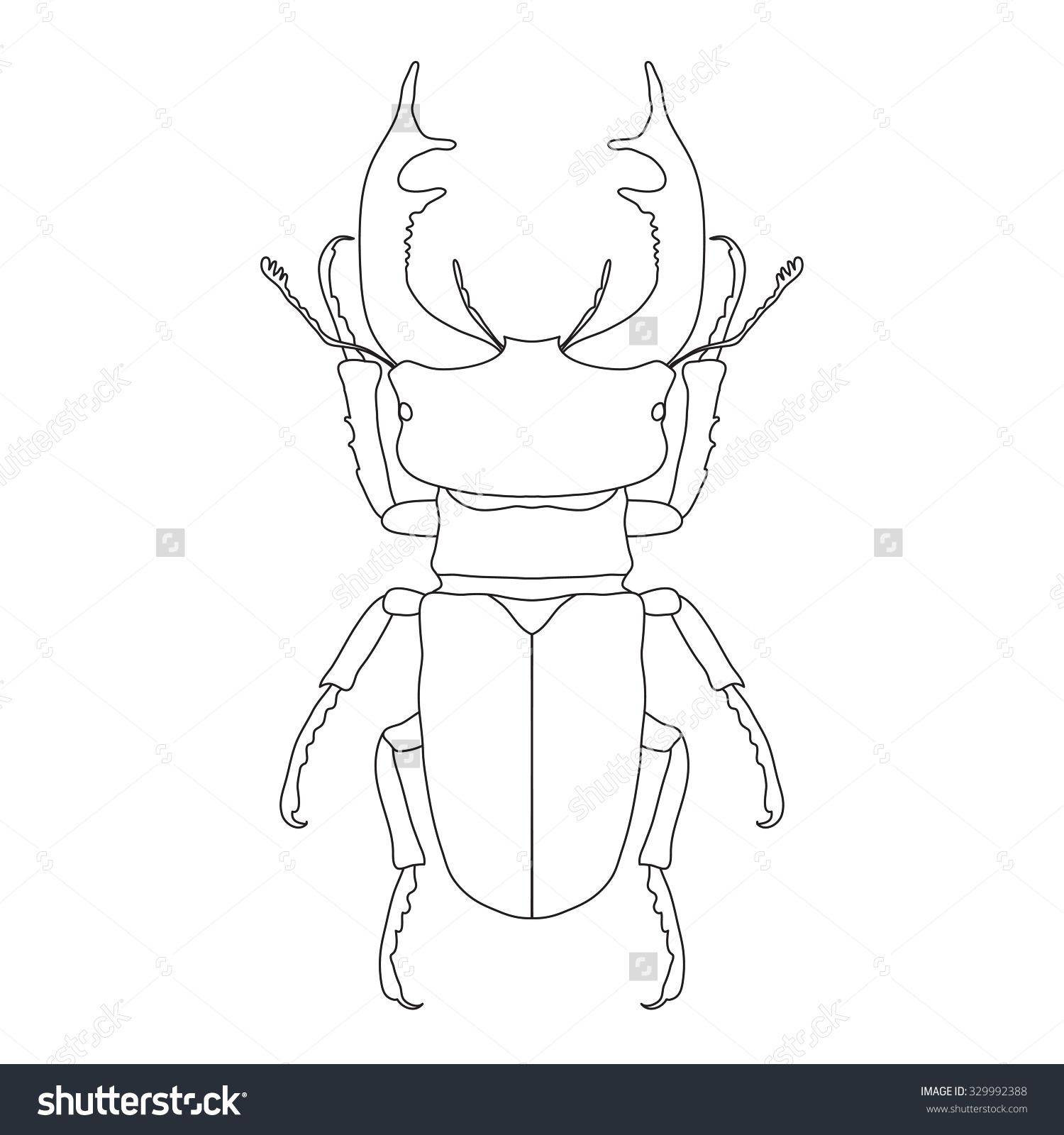 Stag Beetle coloring #1, Download drawings