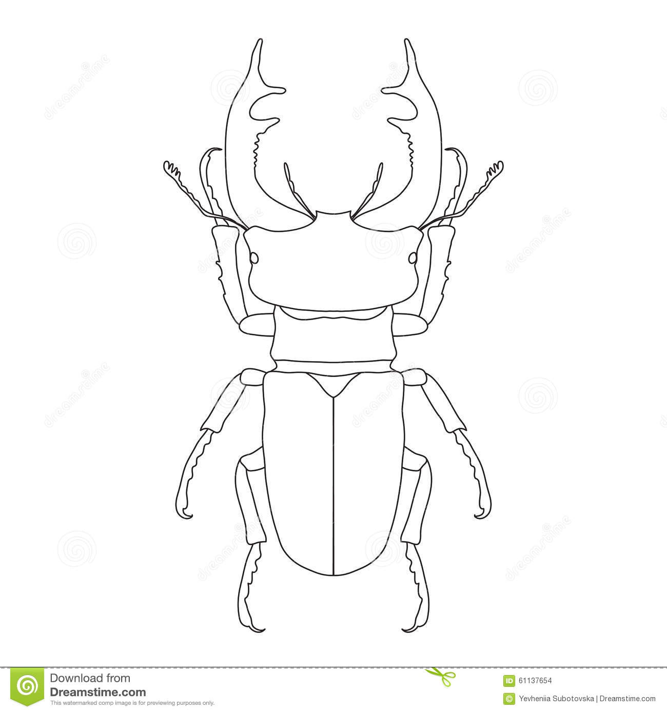 Stag Beetle coloring #17, Download drawings