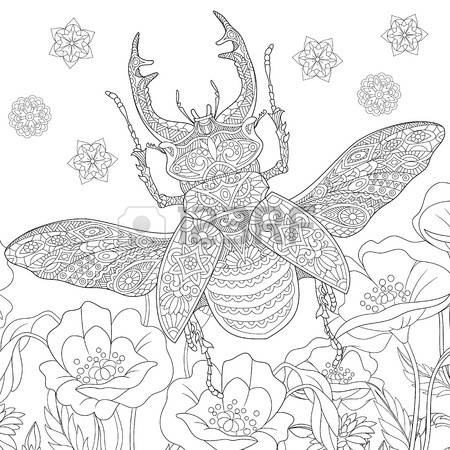 Stag Beetle coloring #3, Download drawings