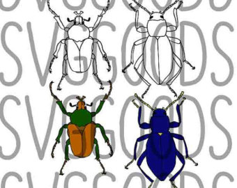 Stag Beetle svg #11, Download drawings