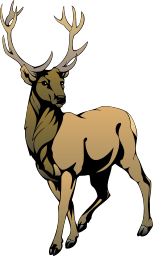 Stag clipart #19, Download drawings