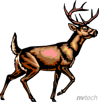Stag clipart #15, Download drawings