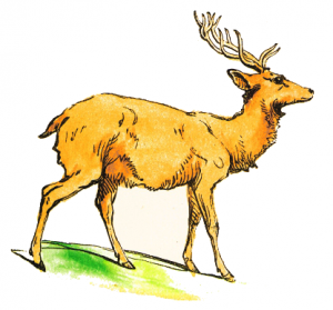 Stag clipart #4, Download drawings