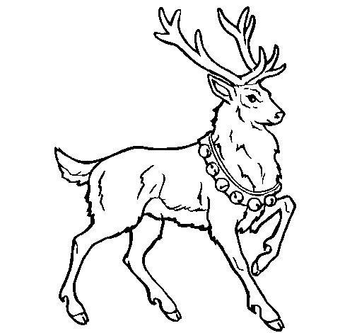 Stag coloring #19, Download drawings