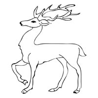 Stag coloring #1, Download drawings