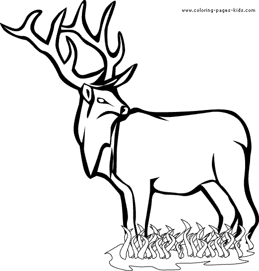 Stag coloring #8, Download drawings