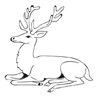 Stag coloring #2, Download drawings