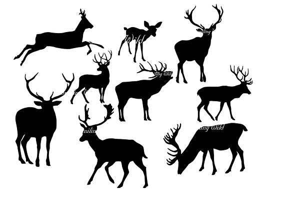 Stag svg #9, Download drawings