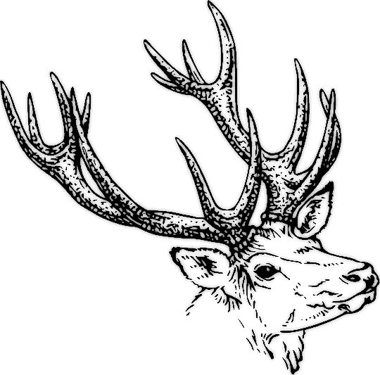 Stag svg #5, Download drawings