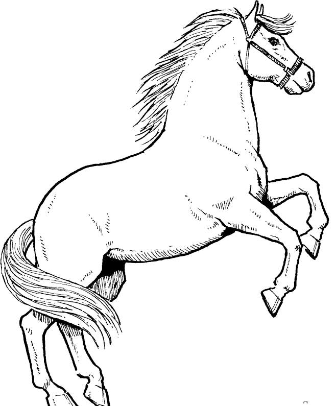 Stallion coloring #19, Download drawings