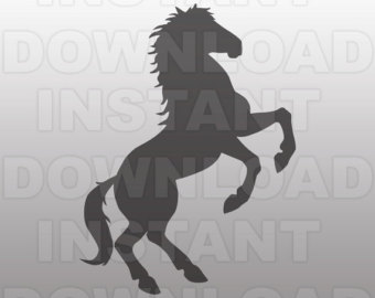Stallion svg #11, Download drawings