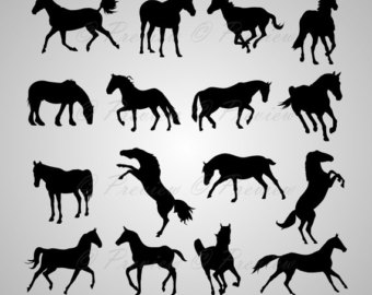 Stallion svg #8, Download drawings