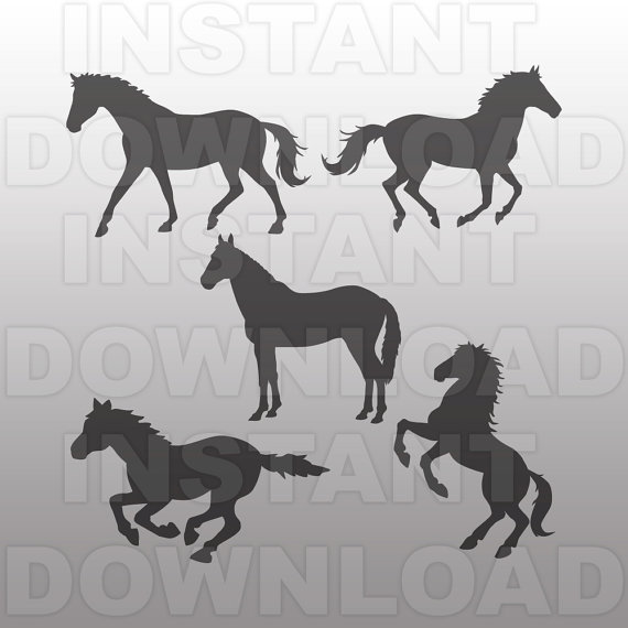 Stallion svg #15, Download drawings