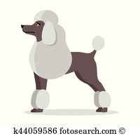 Standard Poodle clipart #15, Download drawings