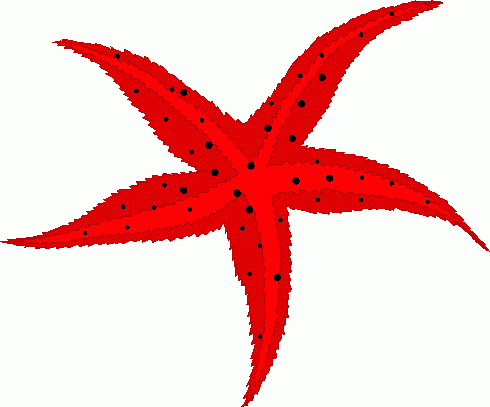 Starfish clipart #10, Download drawings