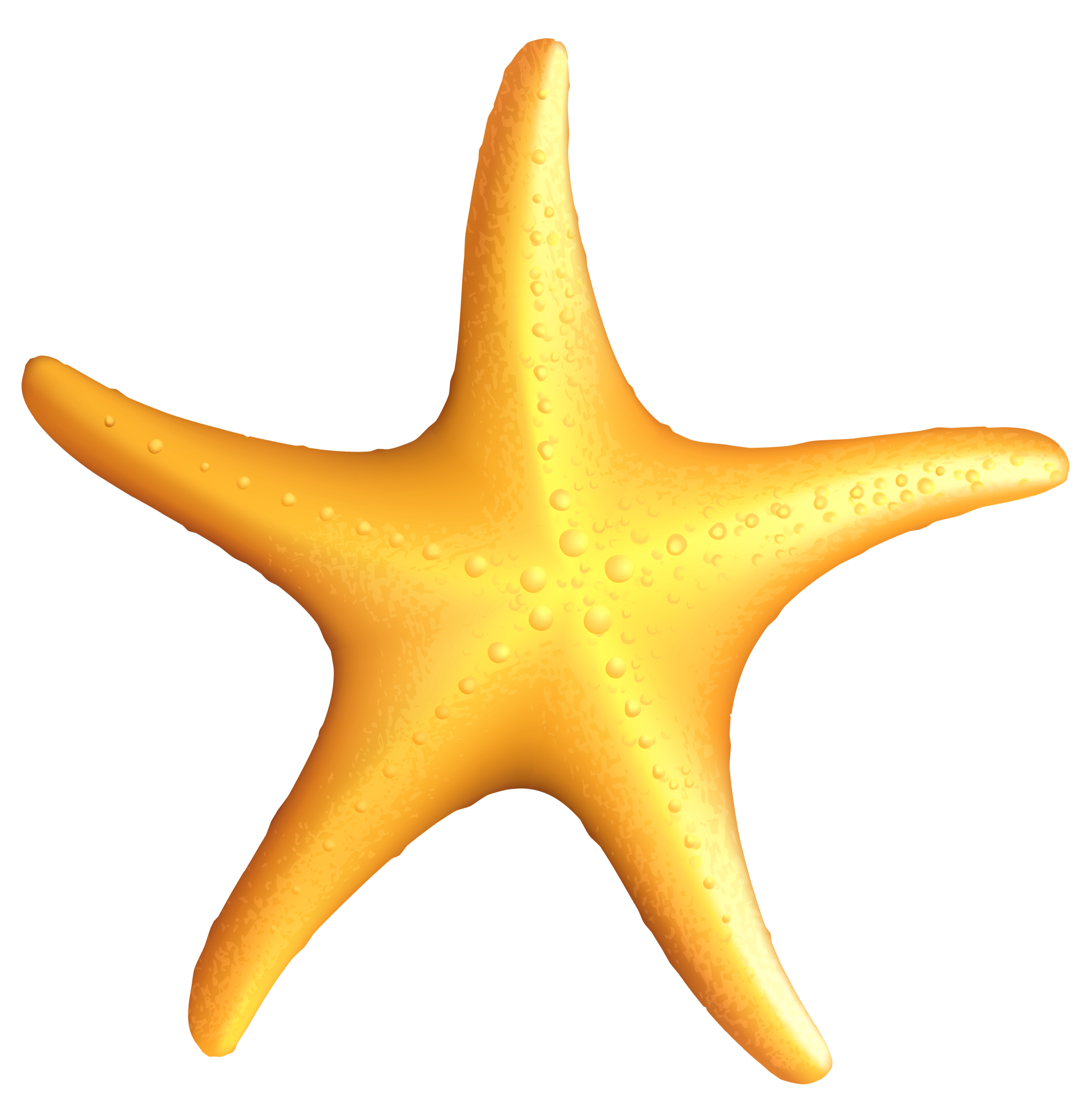 Starfish clipart #1, Download drawings